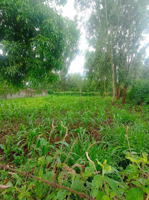 100×100 Plot for Sale in Kibiko, Ngong. - thumbnail 5