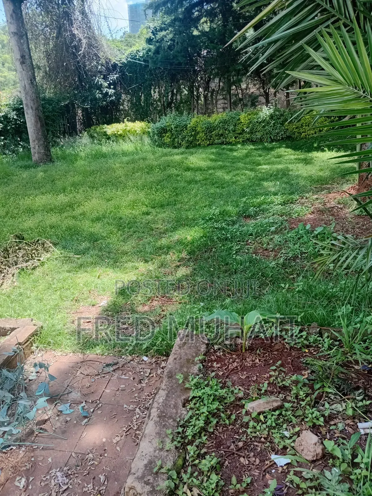Commercial 5bedroom Stand Alone House to Let
