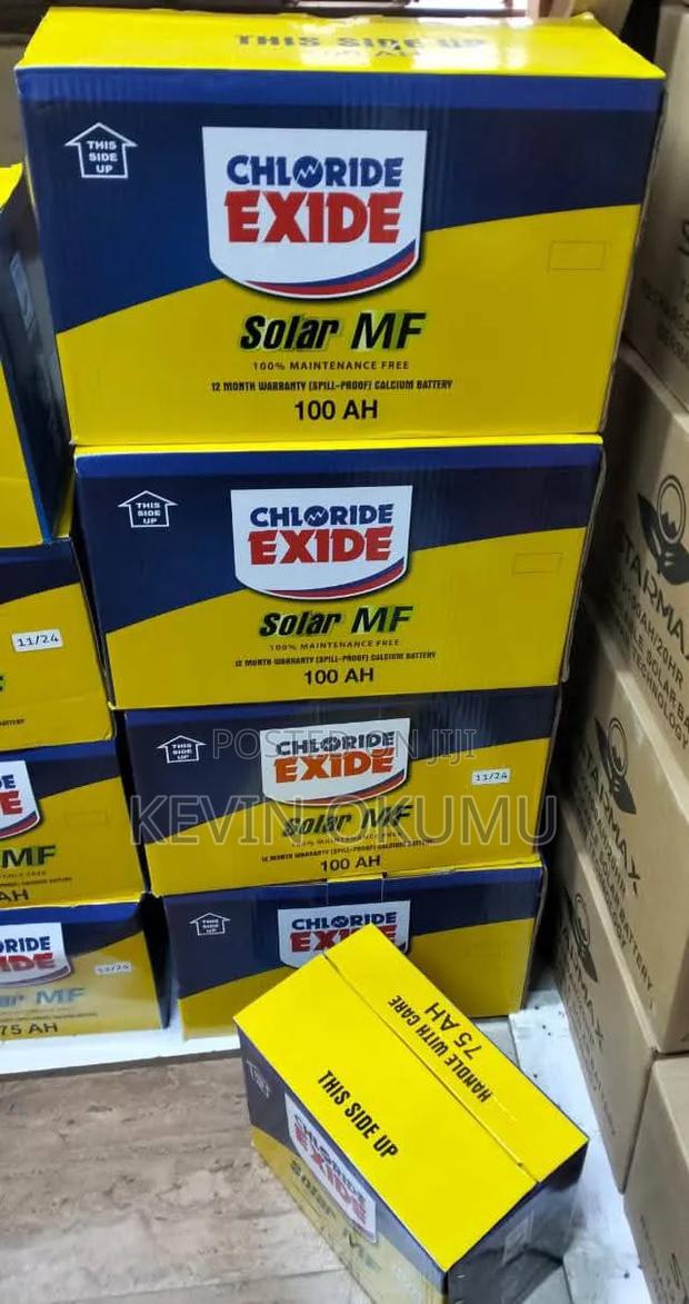 Chloride Exide 100ah Maintenance Free Solar Battery