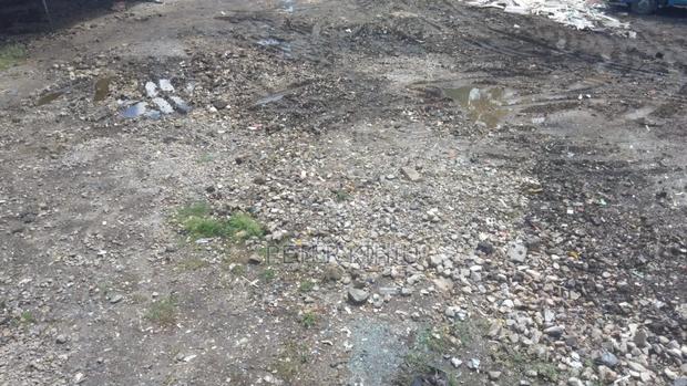 Yard to Let 1/2ac on Lunga Lunga Rd - thumbnail 4