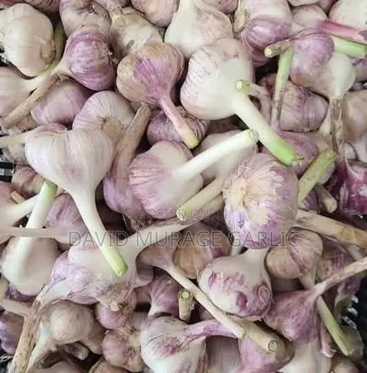 Red Onions and Fresh Garlic Direct From the Farm