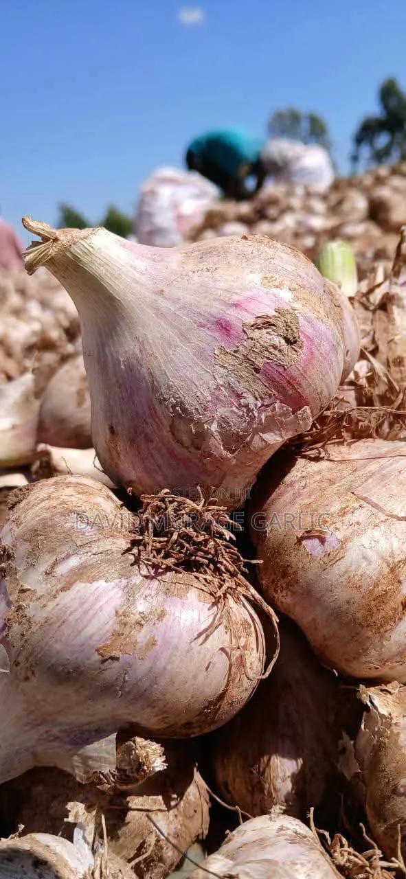 Red Onions and Fresh Garlic Direct From the Farm - thumbnail 2