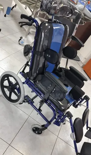 Cerebral Palsy Wheelchair (Adult)