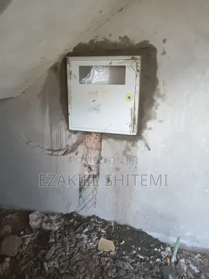 Electricals