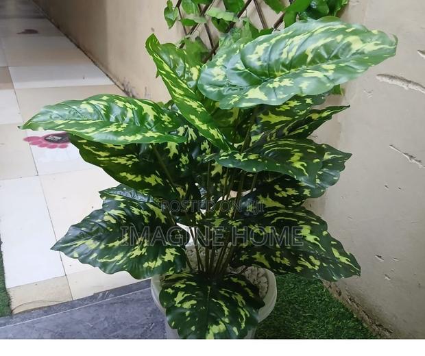 Real Feel Artificial Plant - main view