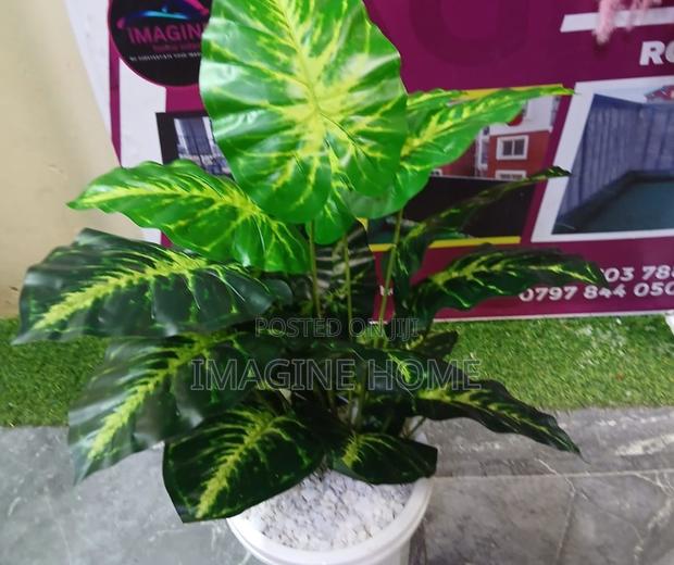 No Sun No Problem Artificial Plant - main view