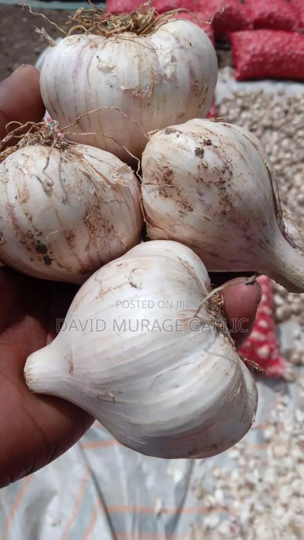 Red Onions and Fresh Garlic Direct From the Farm - thumbnail 9