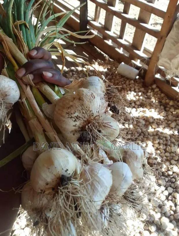 Red Onions and Fresh Garlic Direct From the Farm - thumbnail 11