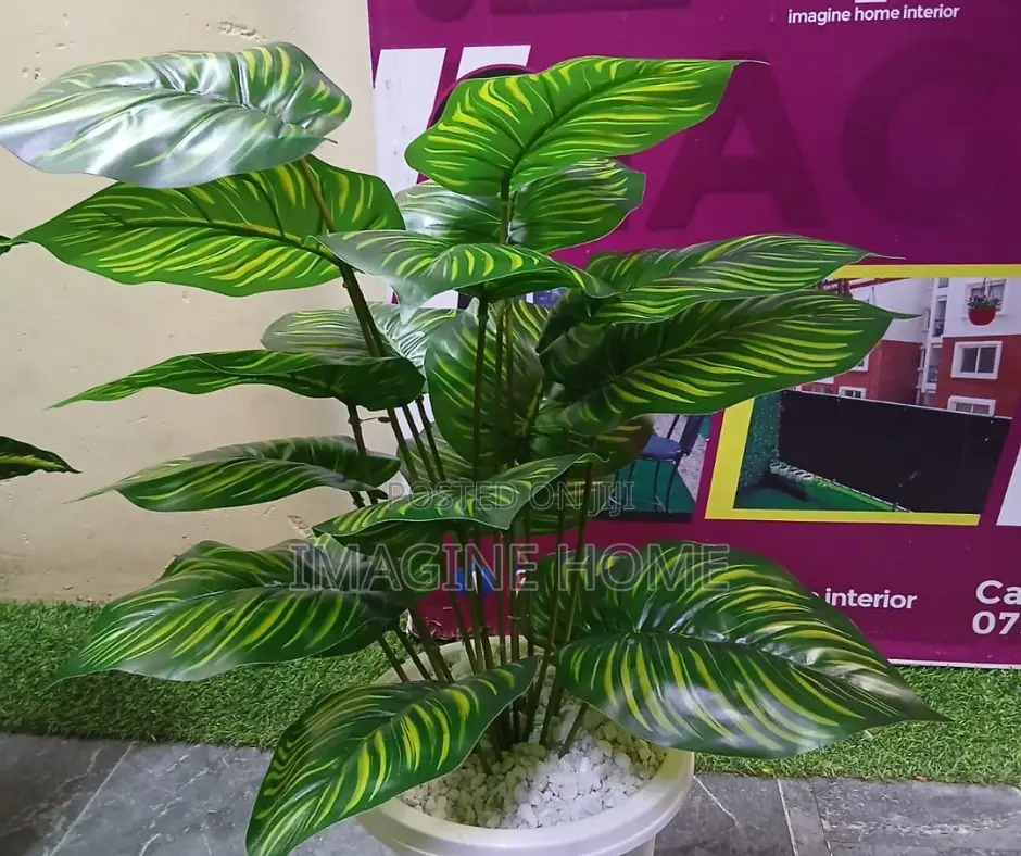 Look Fresh Look Perfect Artificial Plant