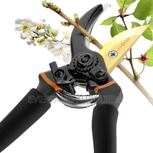 Pruning Shears For Your Garden