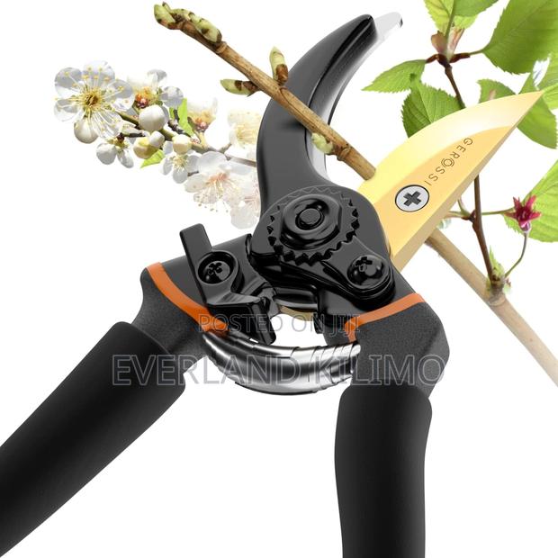 Pruning Shears For Your Garden - main view