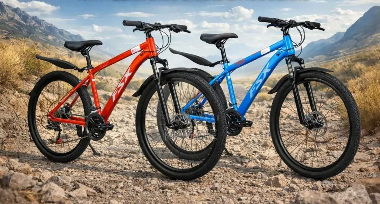 FSX MTB 26" With Gear Disc Brake Mudguard
