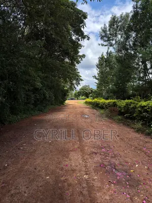 Prime 50x100 Plot for Sale – Ngoliba, Thika