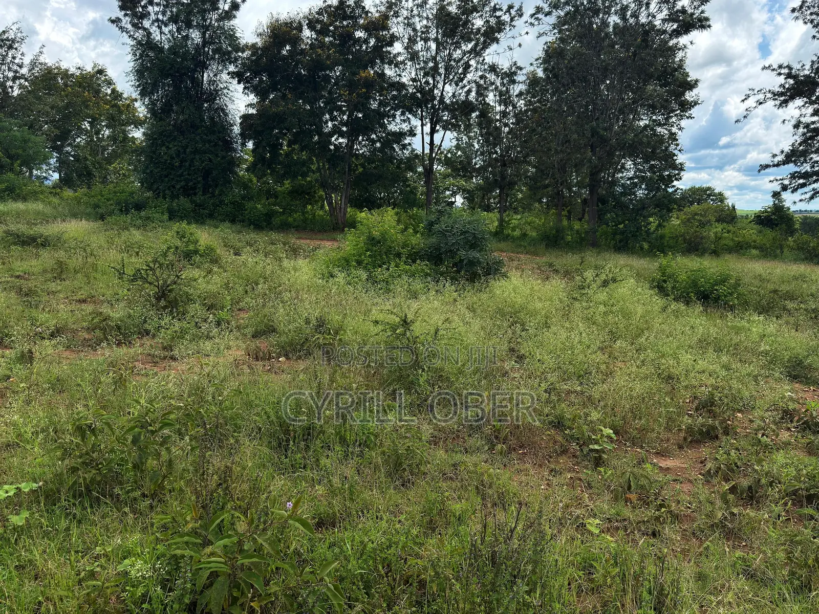 Prime 50x100 Plot for Sale – Ngoliba, Thika
