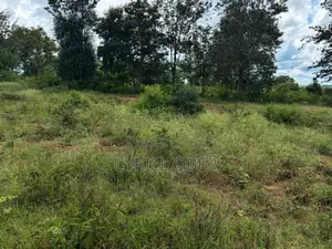 Prime 50x100 Plot for Sale – Ngoliba, Thika