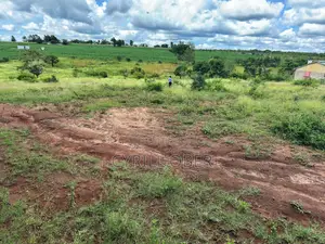 Prime 50x100 Plot for Sale – Ngoliba, Thika