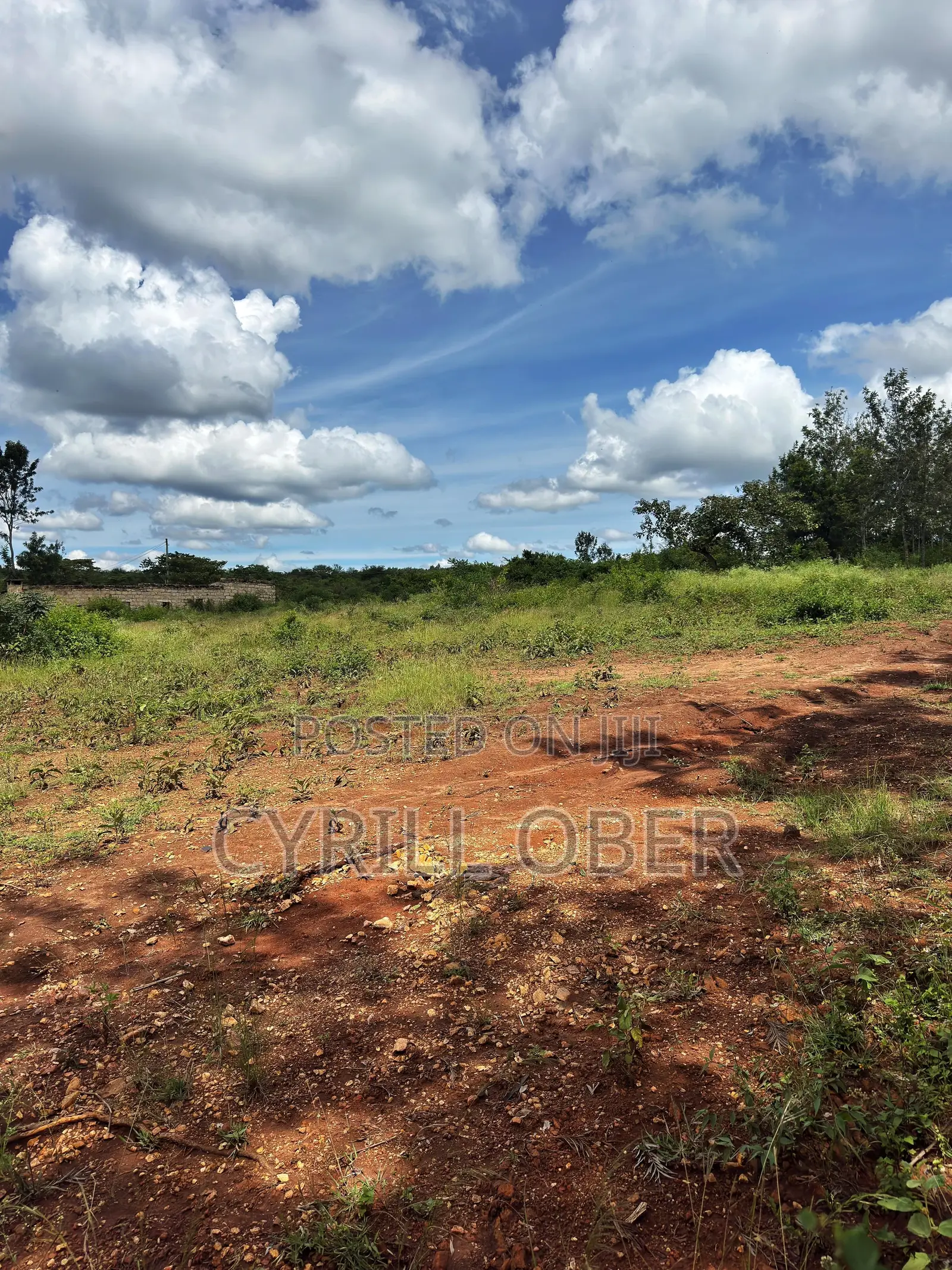 Prime 50x100 Plot for Sale – Ngoliba, Thika