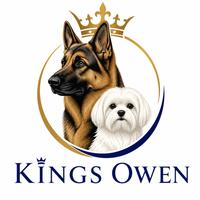 Kings Owen logo