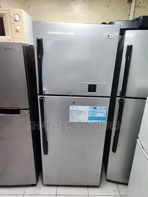Lg Door Cooling Double Fridge 350litres