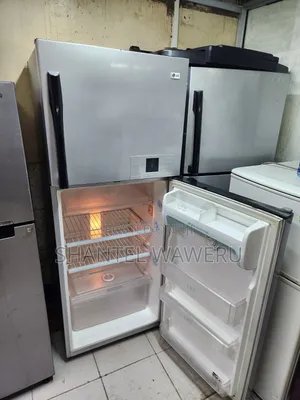 Lg Door Cooling Double Fridge 350litres