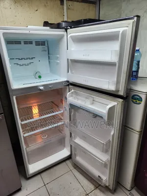 Lg Door Cooling Double Fridge 350litres