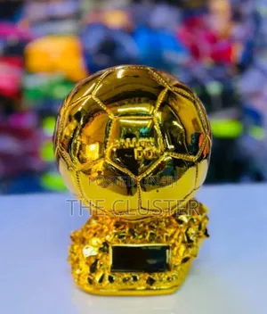 Golden Coated Balloon Dior Ball