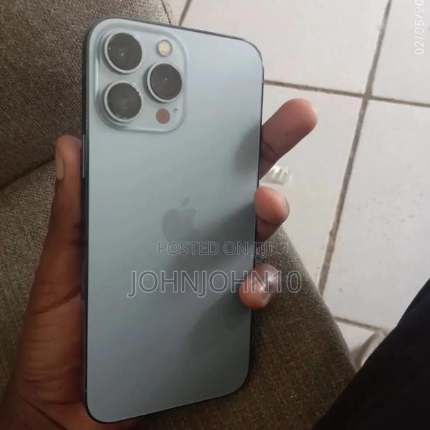 Apple iPhone 13 Pro Max 256 GB Gray