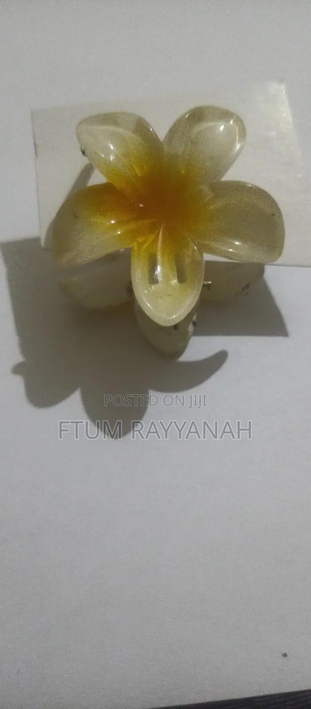 Moanan Hair Clips