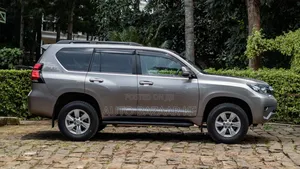 Toyota Land Cruiser Prado 2.8 2019 Gray