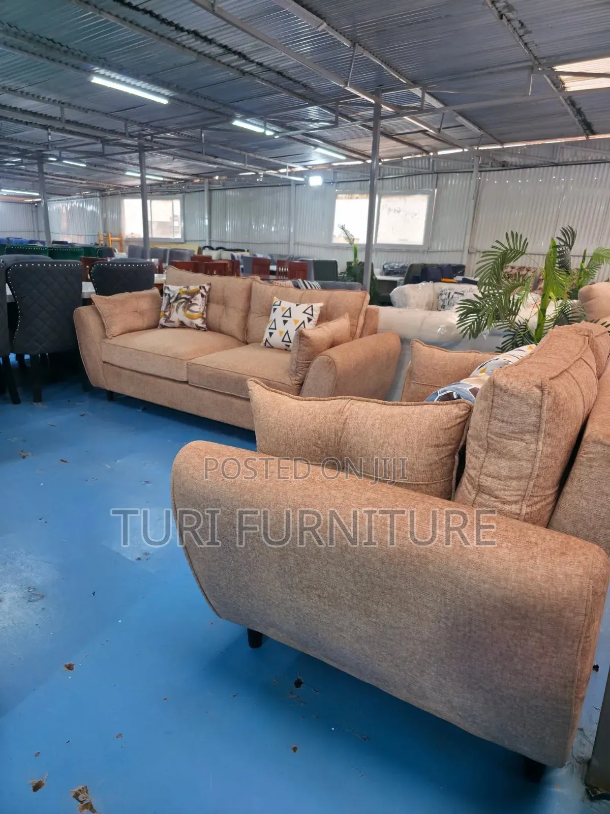 Butterfly Springed Cushions