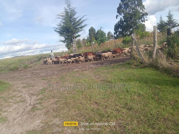 17acres Marina Lamuria Laikipia. - thumbnail 2