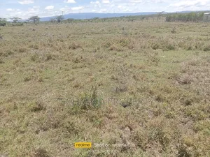 100acres Lamuria Laikipia.