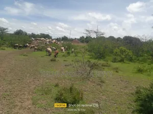 100acres Lamuria Laikipia.