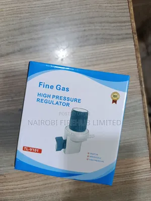 High Pressure Gas Regulator