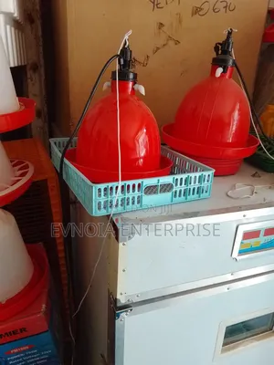 Automatic Bell Drinker