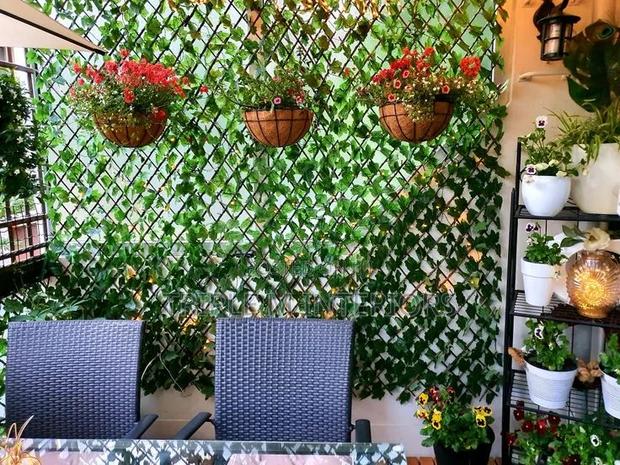 Snapgrow Expandable Green Fence | Instant Restaurant Transformation - main view