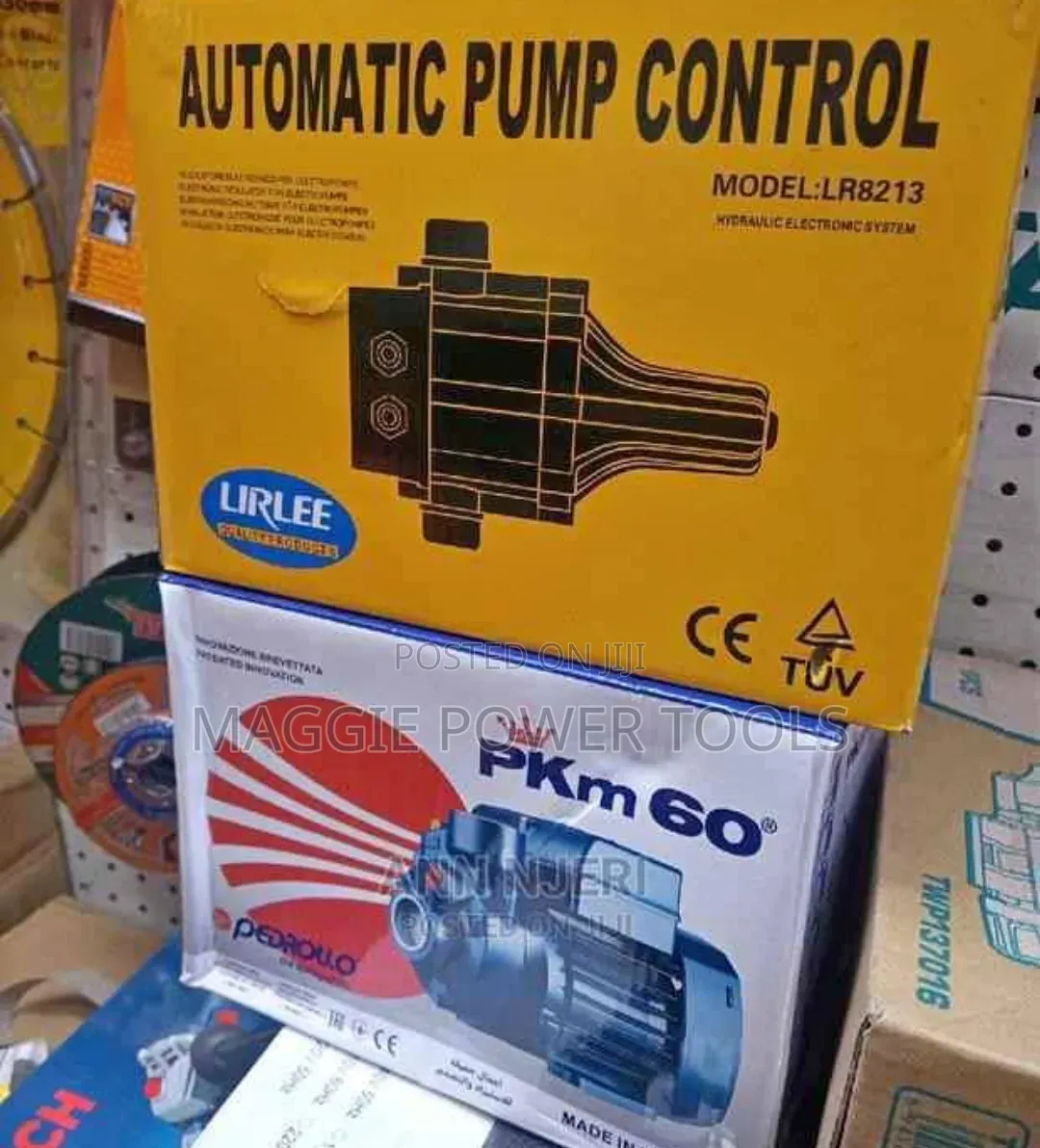 Pedrollo Water Pump With Automatic Pump Controller