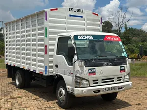 Isuzu Lorry 2021 White