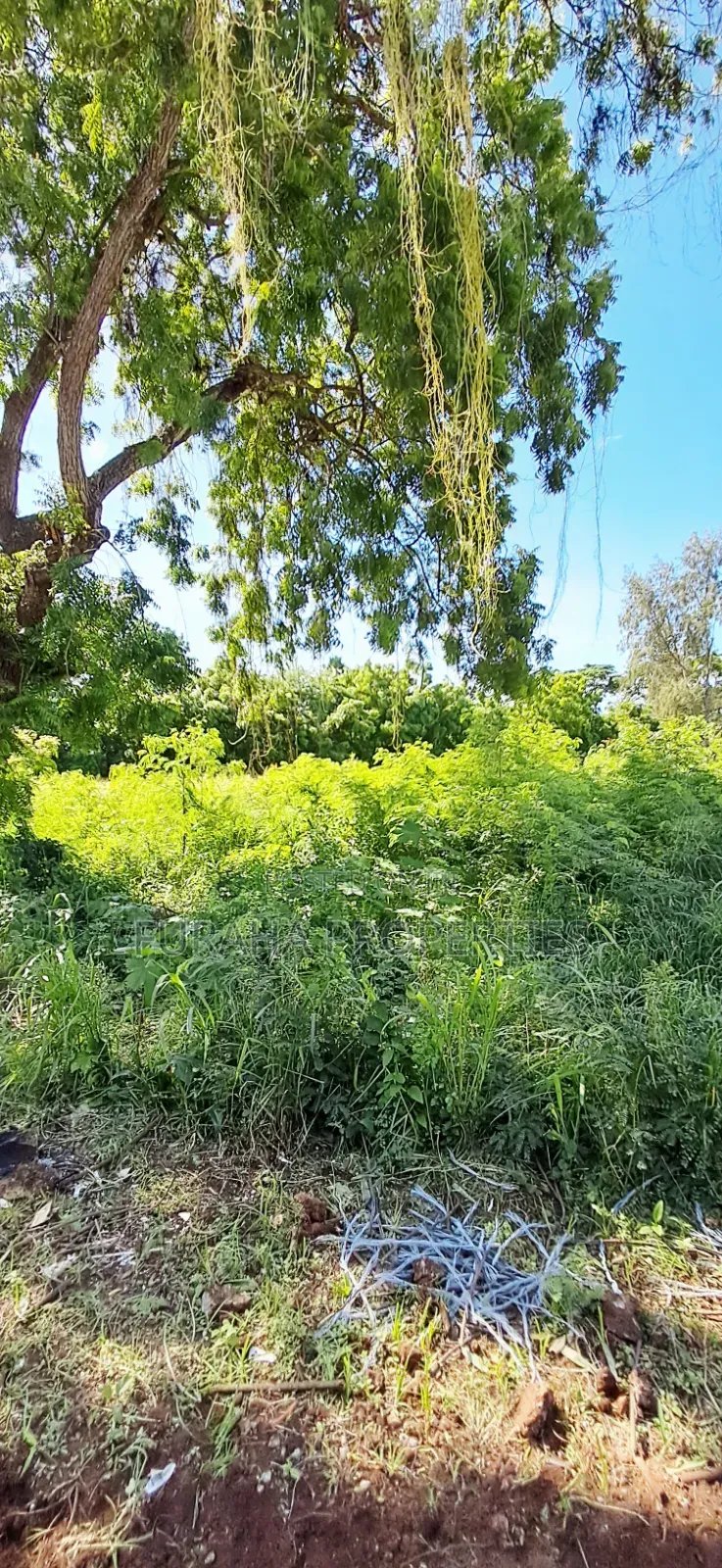 For Sale Prime 1.7 Acres Land Nyali