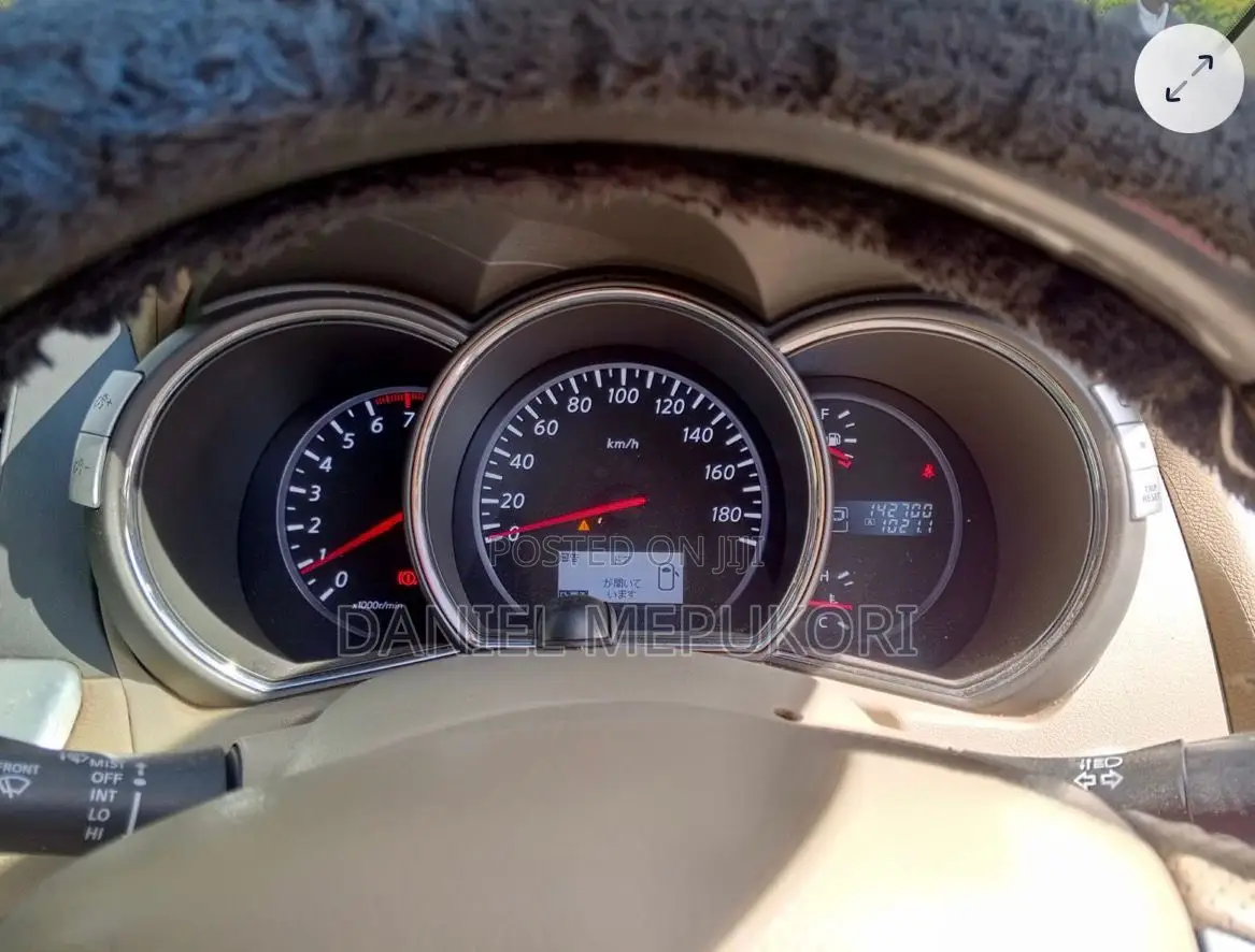 Nissan Murano 2011 Brown