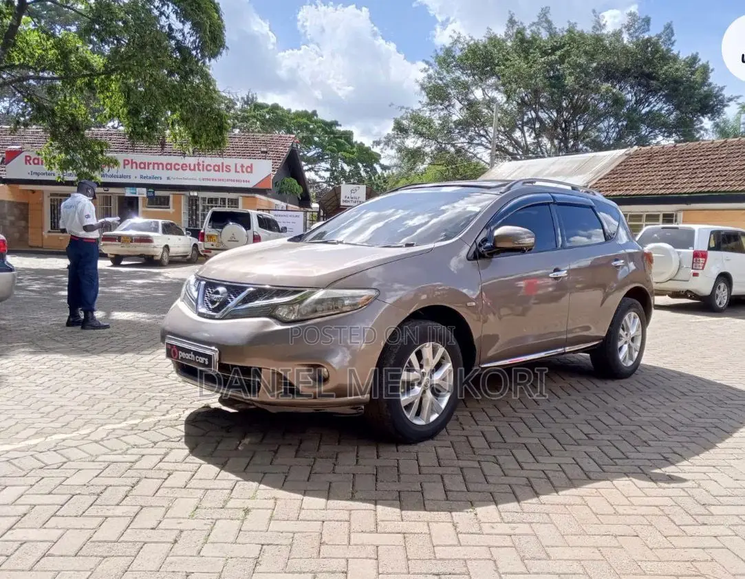 Nissan Murano 2011 Brown