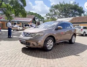 Nissan Murano 2011 Brown