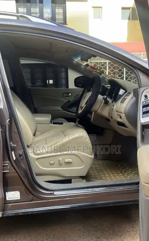 Nissan Murano 2011 Brown