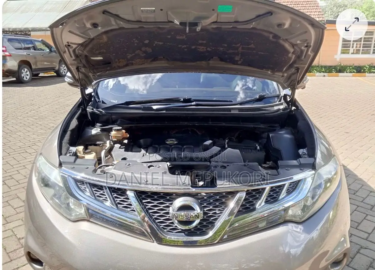 Nissan Murano 2011 Brown