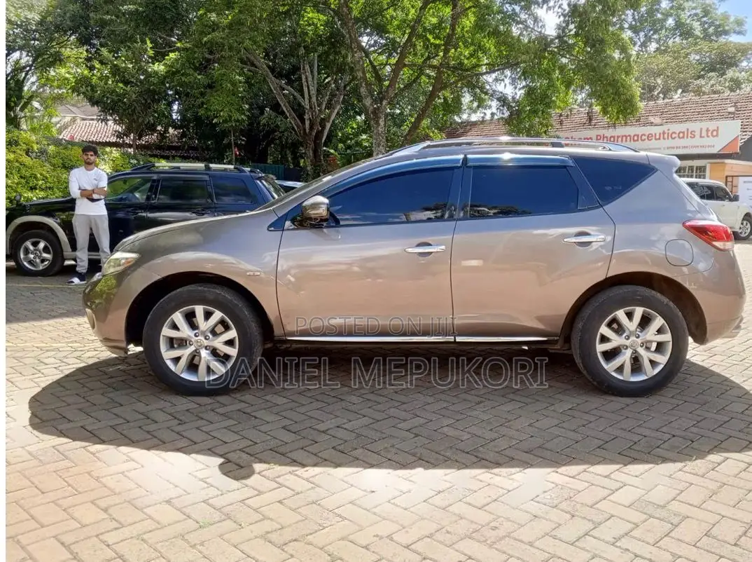 Nissan Murano 2011 Brown