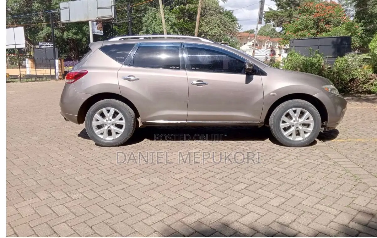 Nissan Murano 2011 Brown