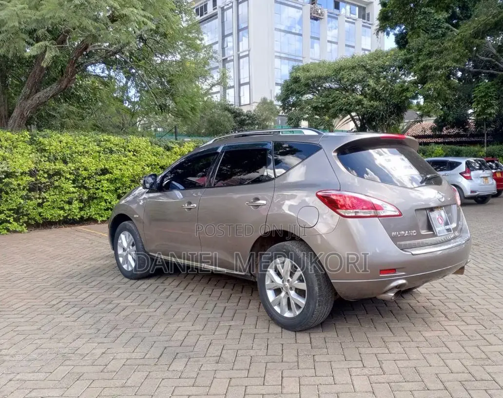 Nissan Murano 2011 Brown