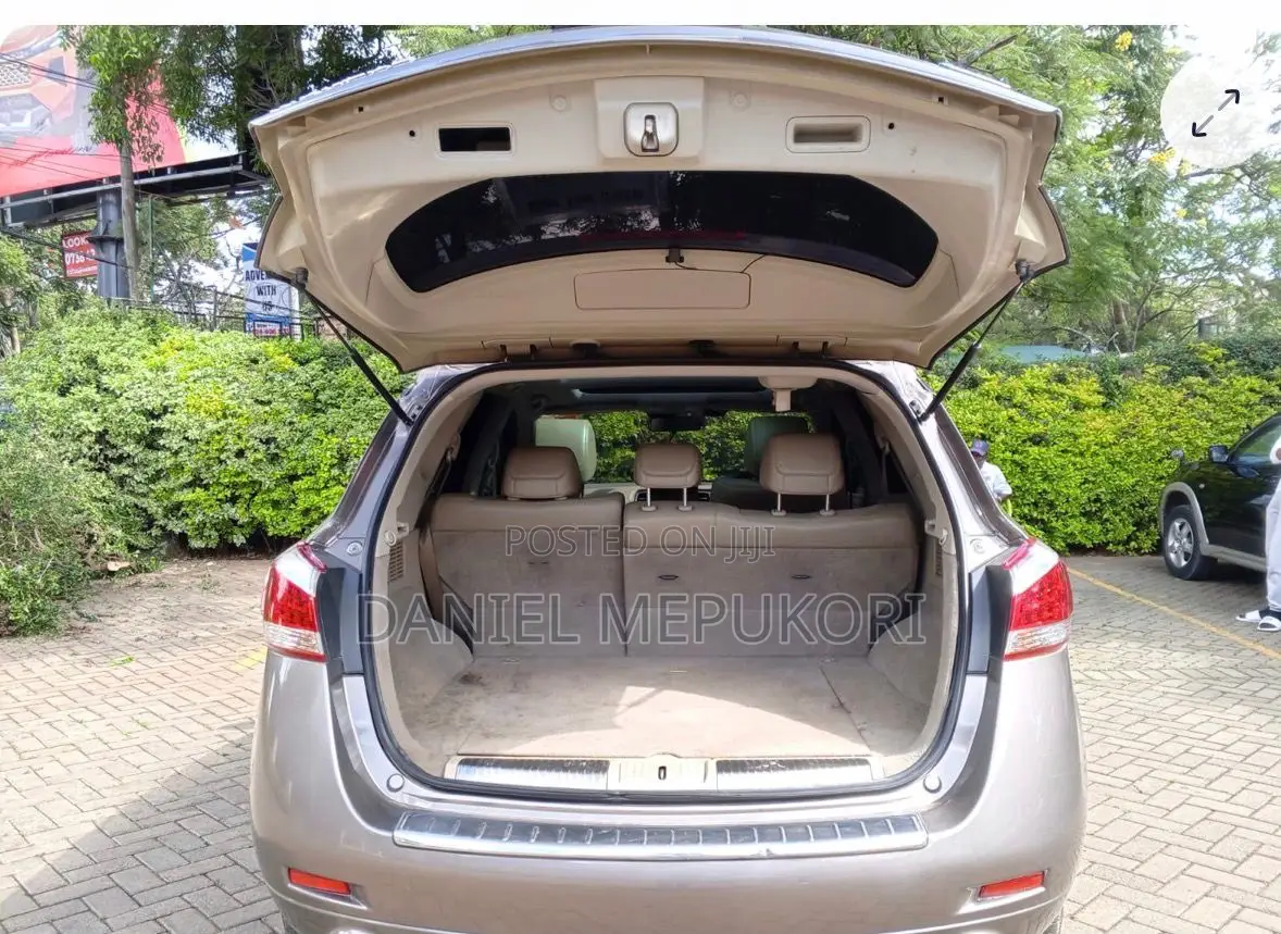 Nissan Murano 2011 Brown
