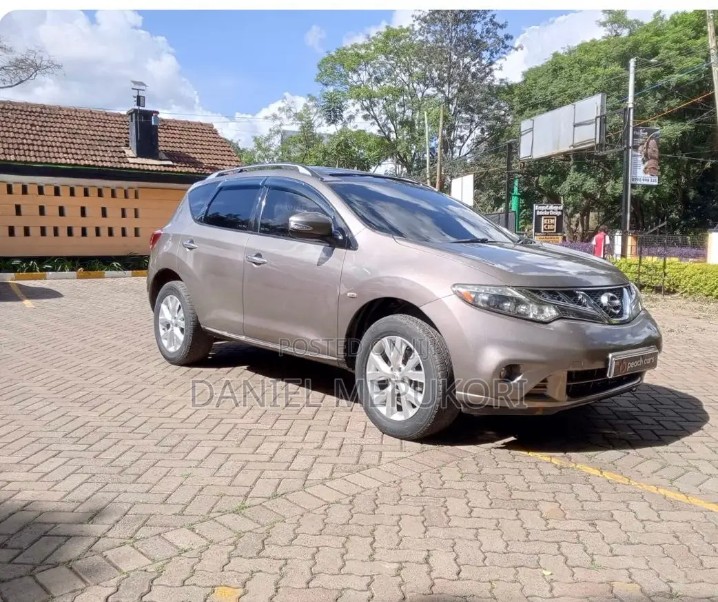 Nissan Murano 2011 Brown