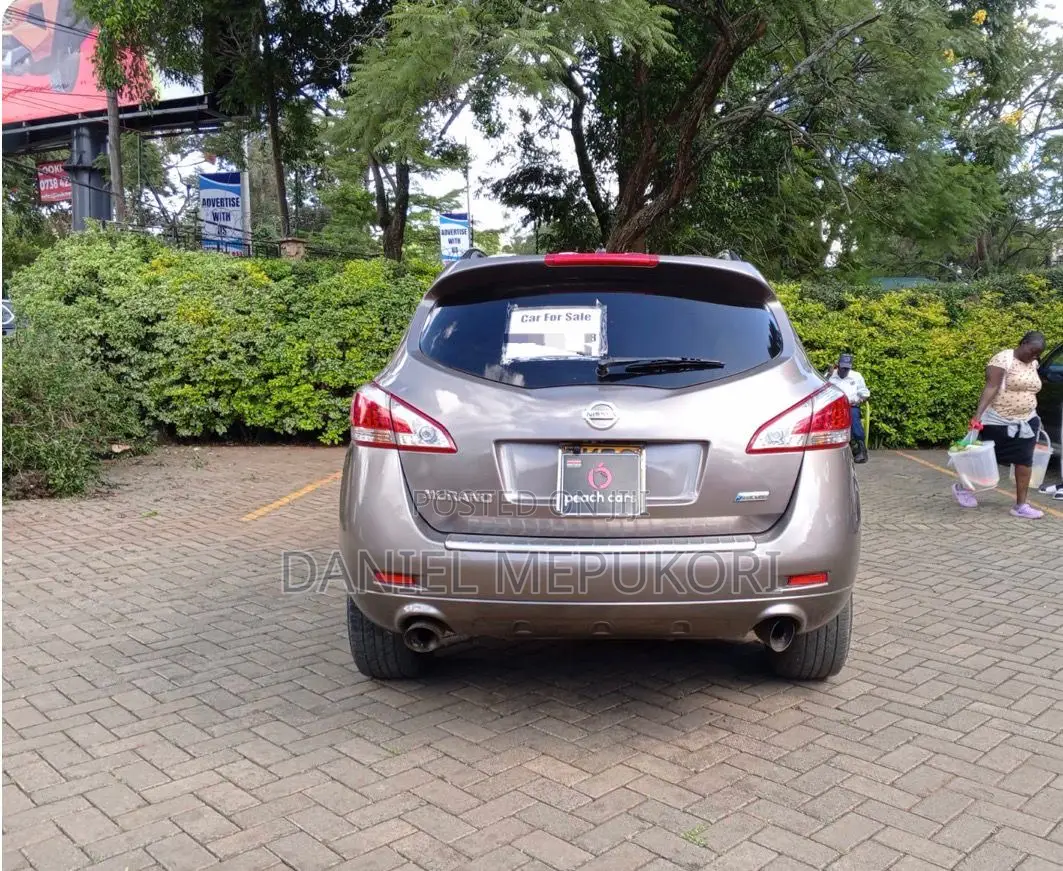 Nissan Murano 2011 Brown